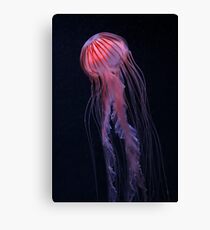Strawberry Jelly Canvas Print