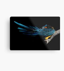 The Fine Art of Preening Metal Print
