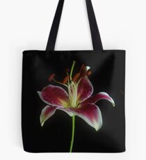 Star Gazer Tote Bag