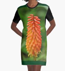 Torch Lily Graphic T-Shirt Dress