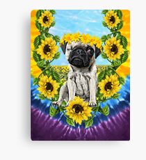 Sonnenblume Pee Wee Leinwanddruck