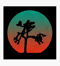 Joshua Tree at Dawn Photographic Print