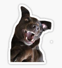 Labrador Dog Sticker
