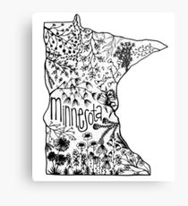 minnesota Metal Print