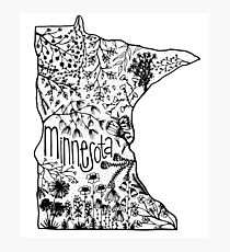 minnesota Photographic Print