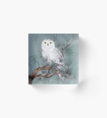 Snowy Acrylic Block