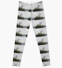 Lyme Regis Gardens ....Dorset UK Leggings
