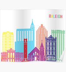Raleigh V2 skyline pop Poster