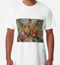 Sea buckthorn - Hippophae rhamnoides. A tasty seaside fruit Long T-Shirt
