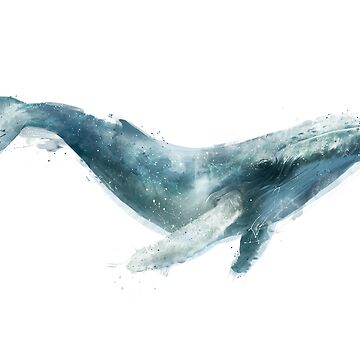 Artwork thumbnail, Humpback Whale by AmyHamilton