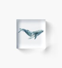 Humpback Whale Acrylic Block