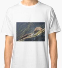 Milford Sound New Zealand Pelzrobben Classic T-Shirt