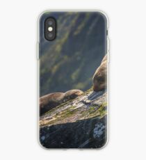 Milford Sound New Zealand Pelzrobben iPhone-Hülle & Cover
