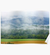Peaceful Morn Poster