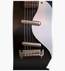 Danelectro Ebony & Ivory Poster