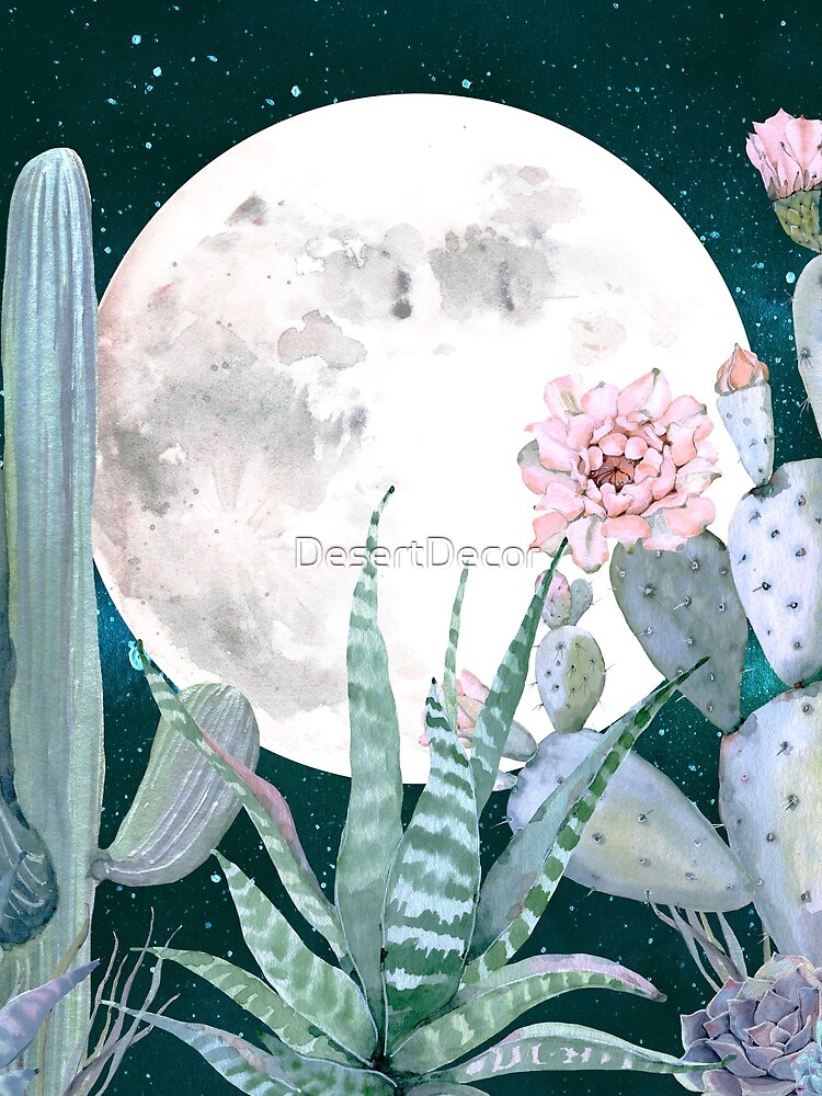 Cactus Nights Pretty Pink and Blue Desert Stars Cacti Illustration by DesertDecor