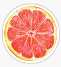 Grapefruit- plain Sticker
