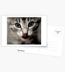Untitled Postcards
