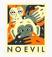 NO EVIL Photographic Print