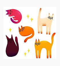 grumpy cats 1 Photographic Print