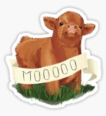 Baby Highland Cow Sticker