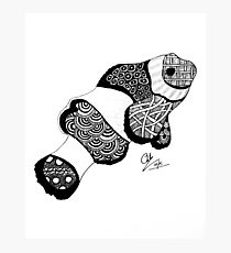 Nemo Photographic Print