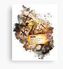 Dodo Canvas Print