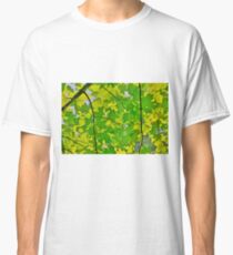 Leaves Classic T-Shirt