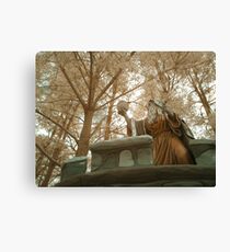 Saruman of Many Colours Canvas Print