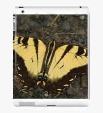 Tiger Swallowtail 1 iPad Case/Skin