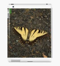 Tiger Swallowtail 2 iPad Case/Skin