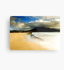 H Donegal Metal Print