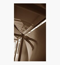 towards an instinctively slandicular society # 6 Fotodruck