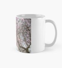 Springtime in Paris Mug