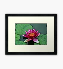 Flower Framed Print