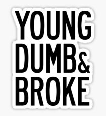 KHALID YOUNG DUMB & BROKE LYRICS Sticker