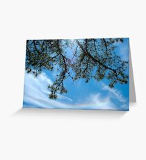 Nice Day Greeting Card
