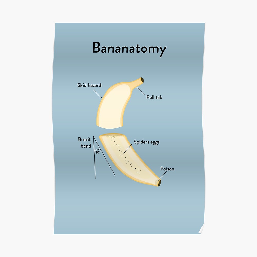 "Banana Anatomy" Poster by Wildyles Redbubble