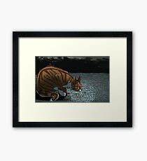 Deep, Dark Water Framed Print