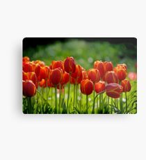 Tulips Metal Print