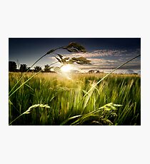 Green Isle Sunset Photographic Print