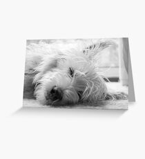 Awww... Greeting Card