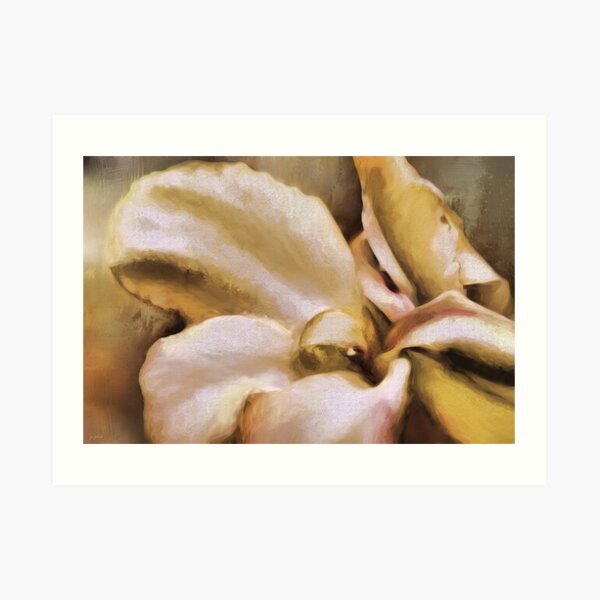 Lily In The Garden Neutral Art Print