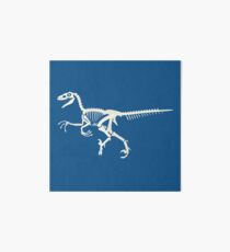 Lámina rígida Velociraptor