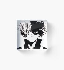 Todoroki - Fire and Ice Acrylic Block