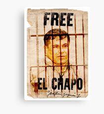 El Chapo Canvas Print