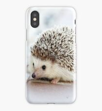 Cute Animals - Hedgehog iPhone Case/Skin