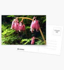 wildflowers Postkarten