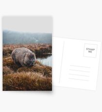 Tasmanian Wombat Postcards