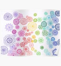 roygbiv Poster